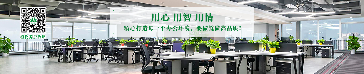 重(zhong)慶植物(wù)租賃案例