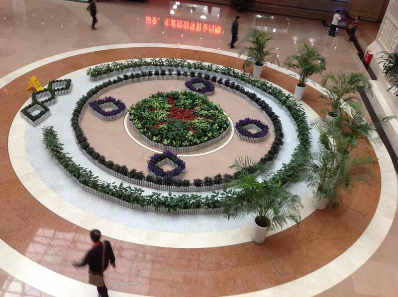 重(zhong)慶植物(wù)租賃